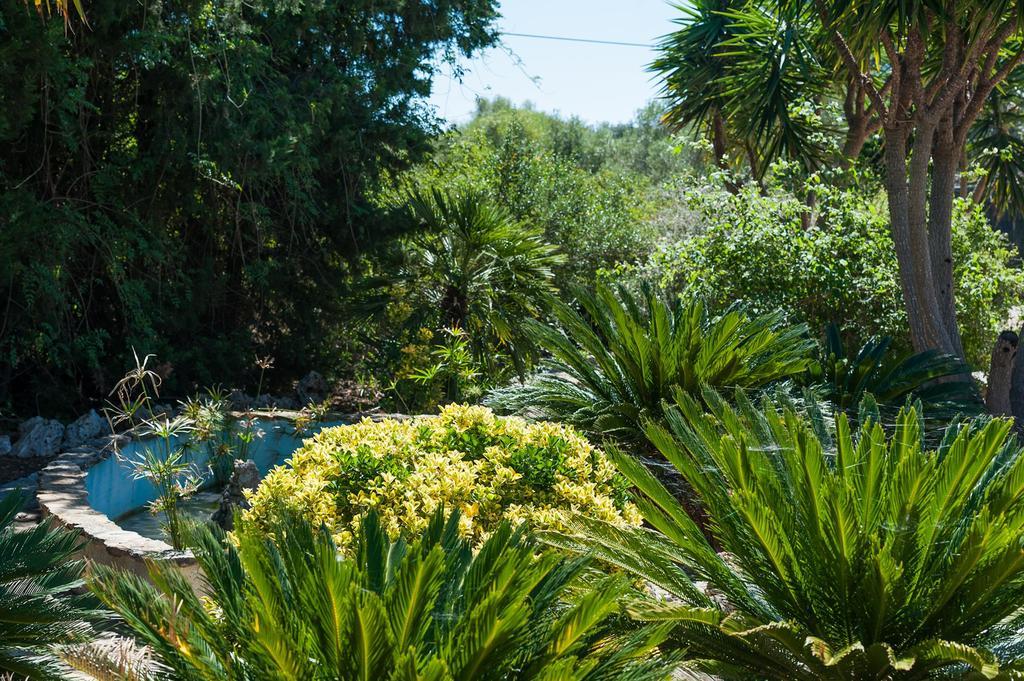 Villa Conchita Sencelles Zimmer foto